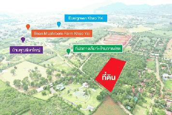 รหัสทรัพย์ 15 ขายที่ดินเขาใหญ่ ทรงปลายคัตเตอร์ 9-1-54 ไร่ ฝั่งตรงข้ามที่ดินเป็นรีสอร์ท